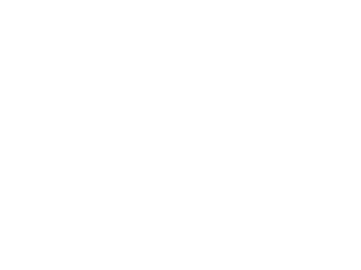 Braveface logo