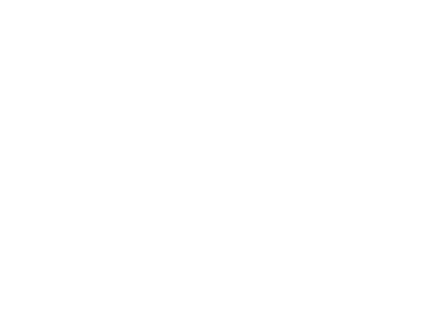 Lash noir logo