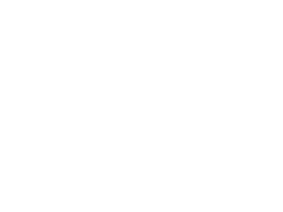Wholesome Pet logo